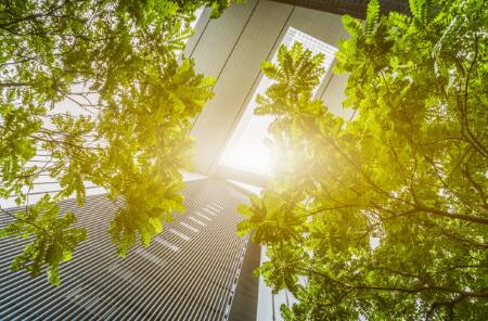 1520845705176064.jpg QQ截圖20180312164620.jpg